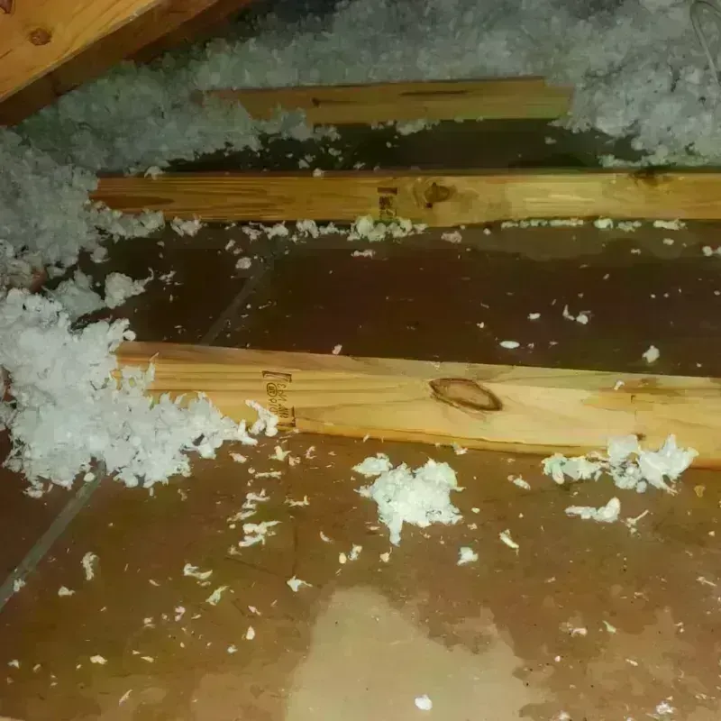 Attic Water Damage in Leonville, LA